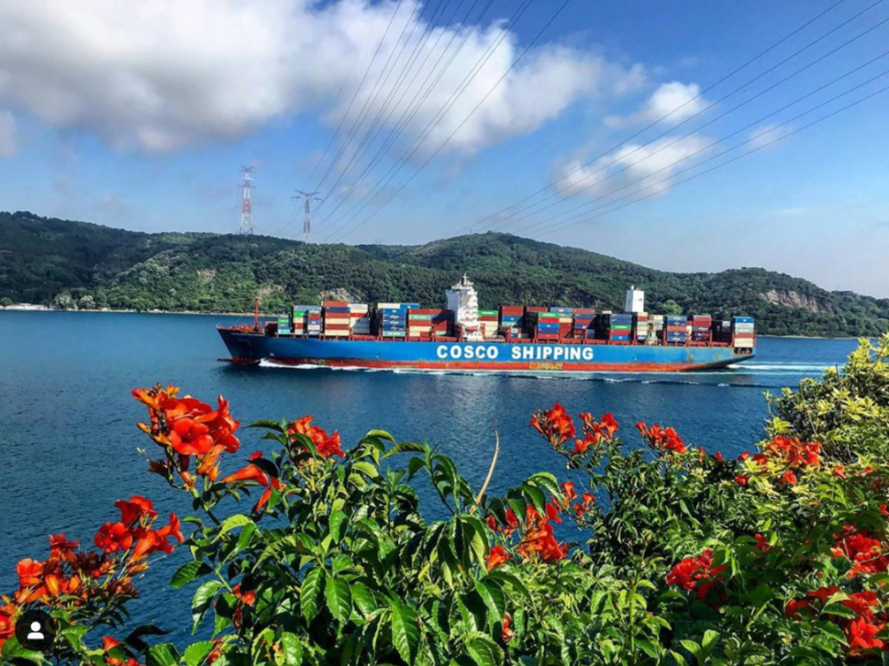 船期延誤的“元兇”之首，可能不是天氣